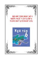 Bộ đề thi học kì 1 môn Ngữ văn Lớp 6 năm 2017 (Có đáp án)